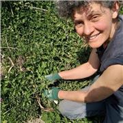 Agronoma offre lezioni private di materie scientifiche a casa o con possibilità di spostarmi